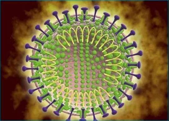 微信图片_20200326155017