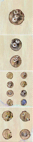 2020-08-28 19:24:58.368000