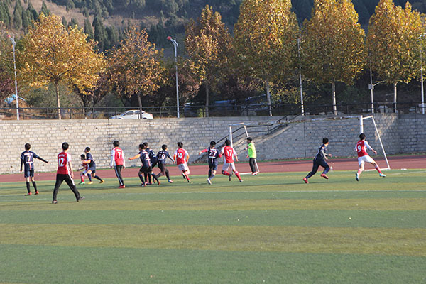 美术学院在2014“艺苑杯”足球赛中获佳绩