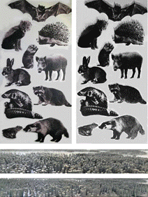 2020-08-28 19:18:21.044000